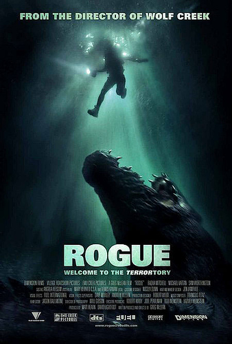 Póster de Rogue